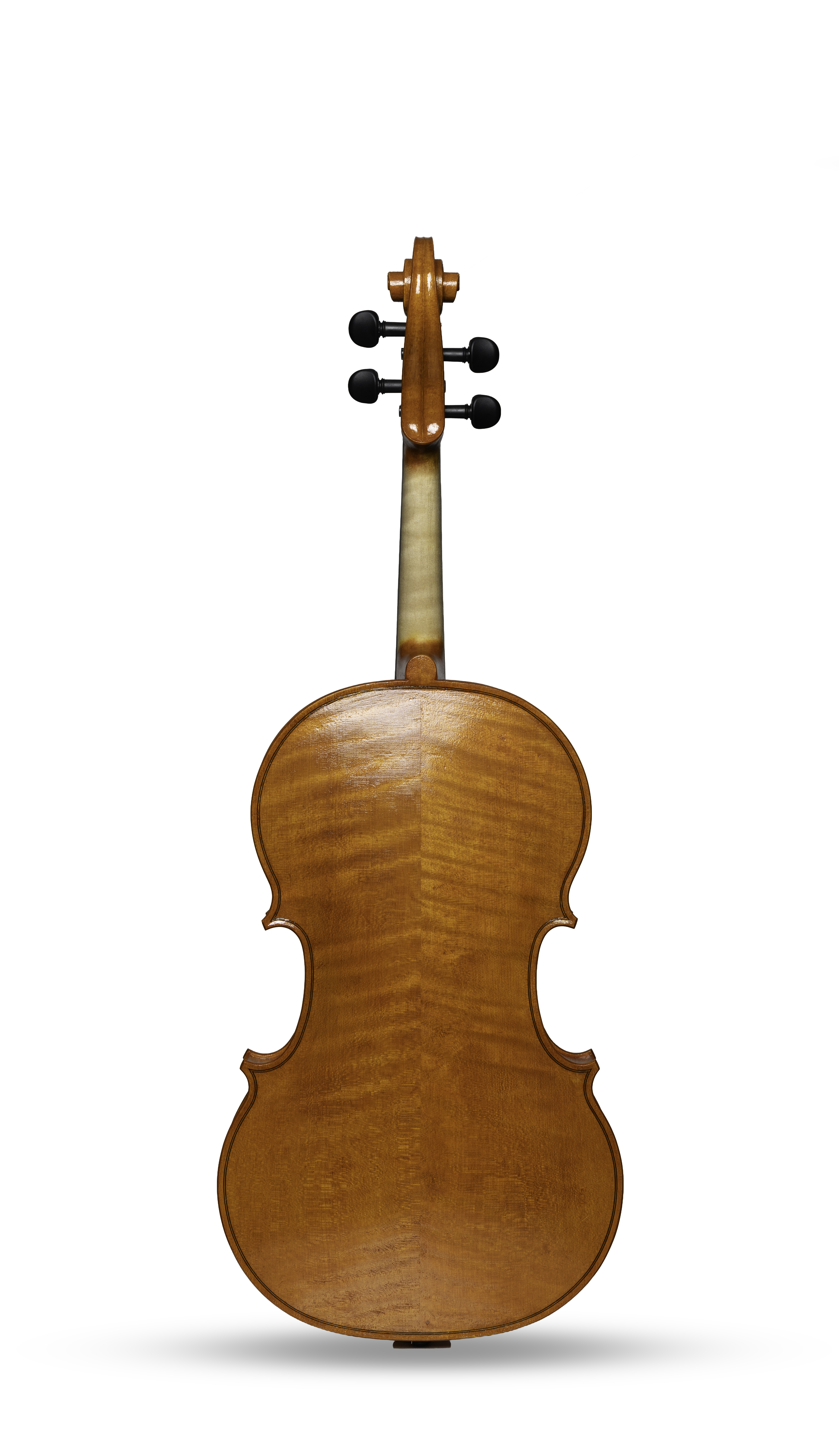 Opus 3 Back